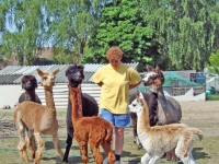 aulatal63