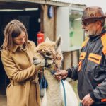 Alpaka-Farm-im-Havelland-0985-640x426