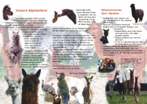 alpaka_flyer1
