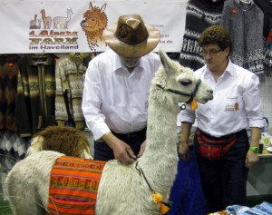 alpakafarm15