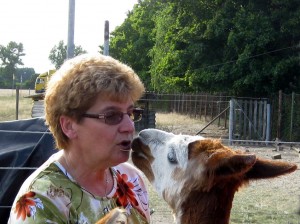 © Foto Manfred Eisenlohr, Herr Friedel